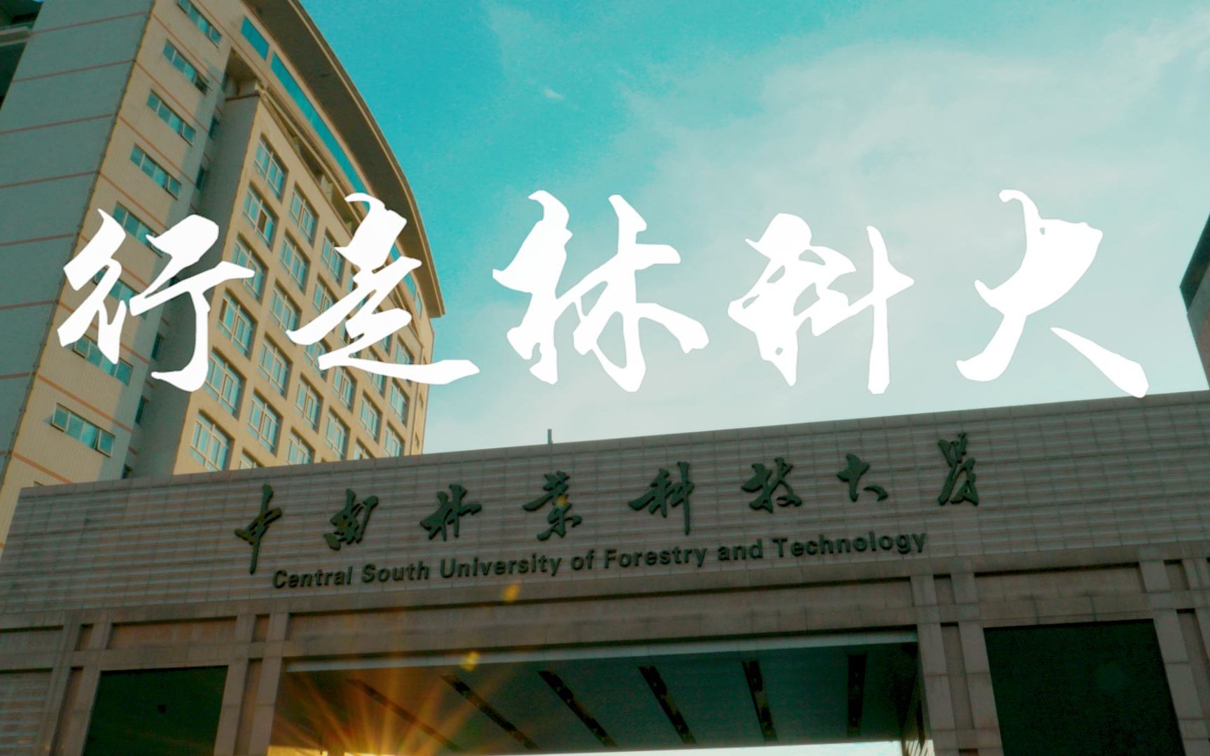 中南林业科技大学录取