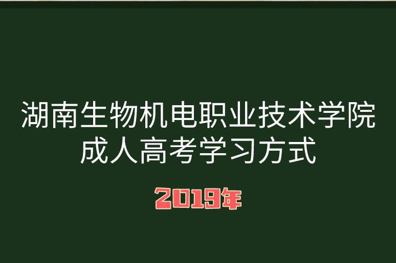 湖南成人高考学习方式