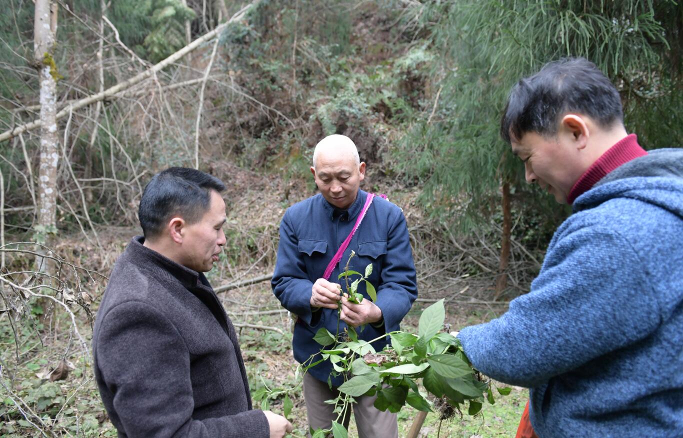 湖南医药学院